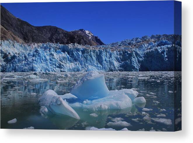 Ice Canvas Print featuring the photograph Glacier and Ice by Mo Barton