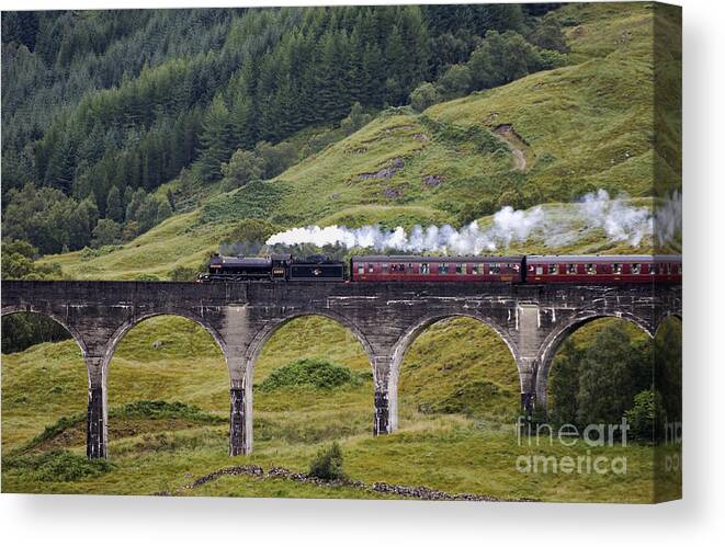 Jacobite Canvas Print featuring the photograph Glenfinnan Viaduct - D002340 by Daniel Dempster