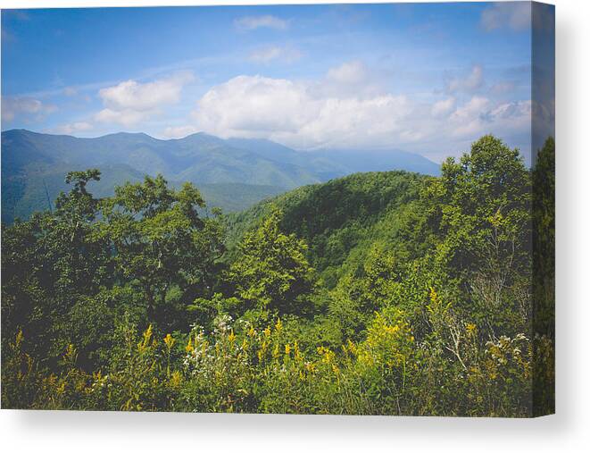 Mountains Canvas Print featuring the photograph Glory in Goldenrod by Jessica Brawley