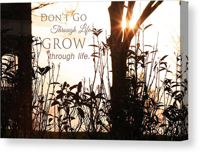 Flower Artwork Canvas Print featuring the photograph Glowing Landscape with Message by Mary Buck
