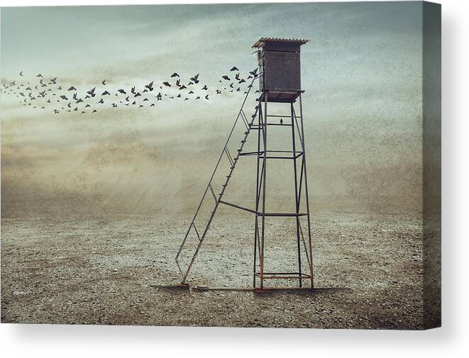 Surreal Canvas Print featuring the photograph Go To Nature by Sulaiman Almawash