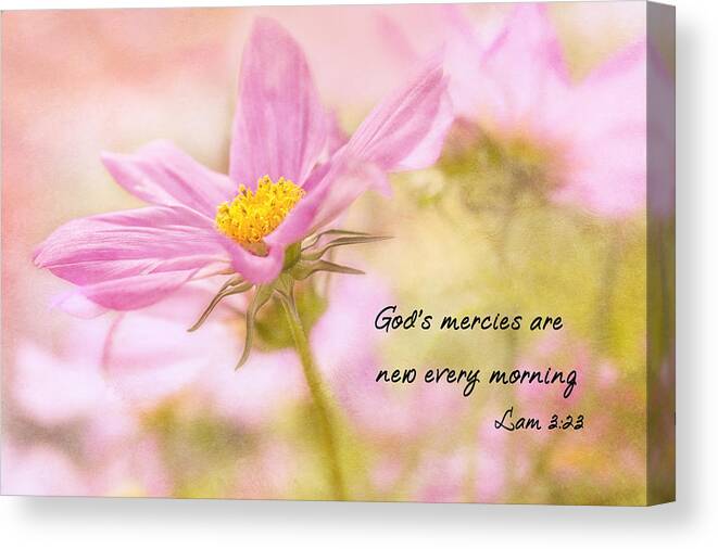 Cosmos Canvas Print featuring the photograph God's Mercies by Mary Jo Allen
