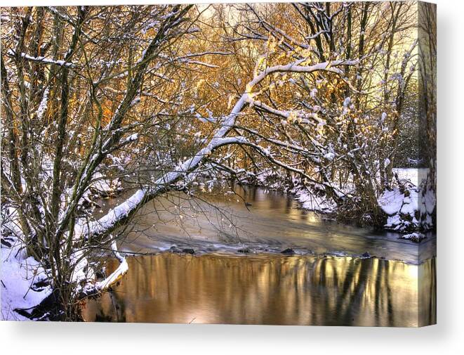 Owens Creek Canvas Print featuring the photograph Gold in the Creek B1 - Owens Creek Near Loys Station Covered Bridge - Winter Frederick County MD by Michael Mazaika