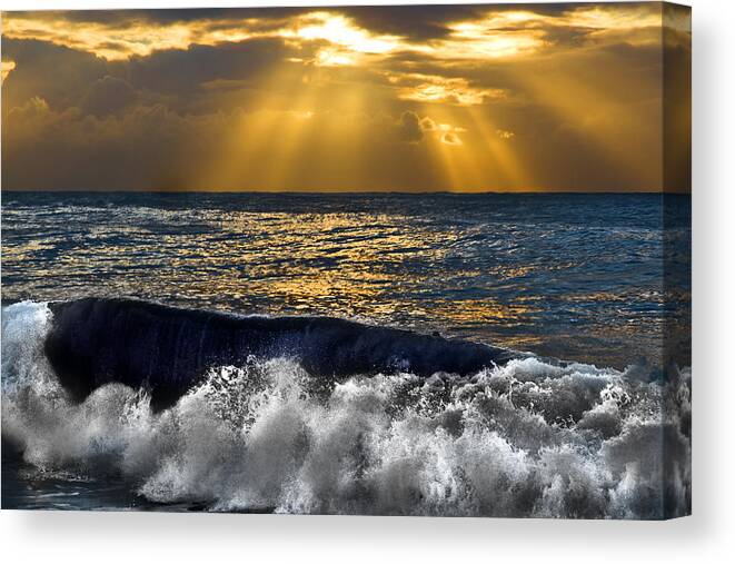 #dee Why Canvas Print featuring the photograph Golden eye of the morning by Miroslava Jurcik