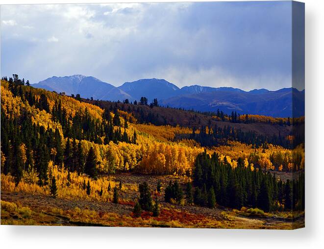 Colorado Canvas Print featuring the photograph Golden Fourteeners by Jeremy Rhoades