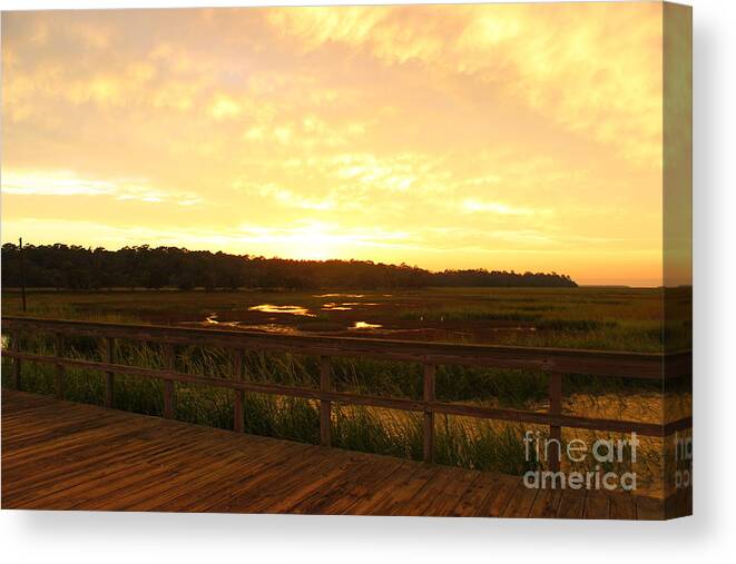 Sunset Canvas Print featuring the photograph Golden Hour on Ossabaw Island by Andre Turner