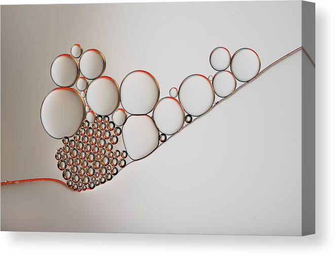 Macro Canvas Print featuring the photograph Golden Rings by Heidi Westum