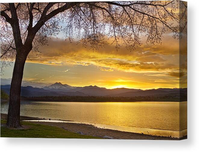 Trees Canvas Print featuring the photograph Golden Spring Time Twin Peaks Sunset View by James BO Insogna