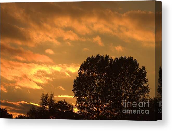 Sunset Silhouette Canvas Print featuring the photograph Golden Sunset Clouds by Jeremy Hayden