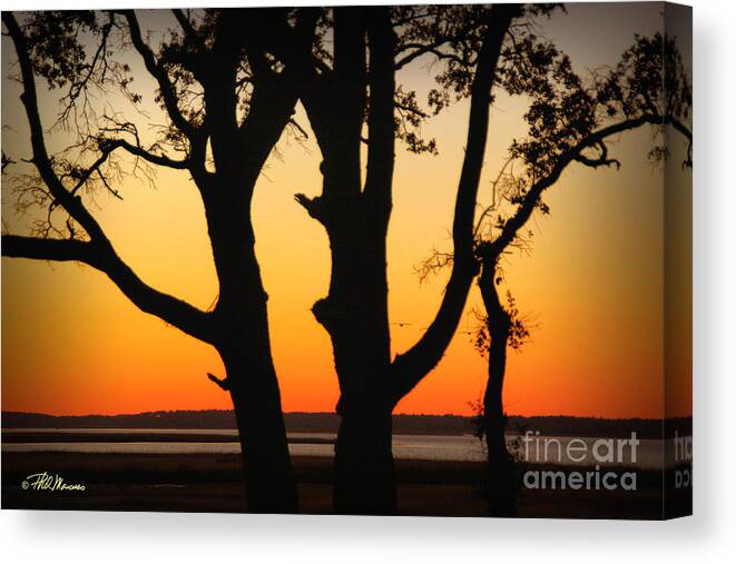 Sunset Scene Canvas Print featuring the photograph Golden Sunset by Phil Mancuso
