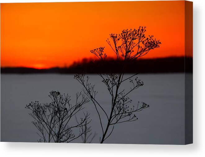 Gone Is The Sun Canvas Print featuring the photograph Gone is the Sun by Rachel Cohen