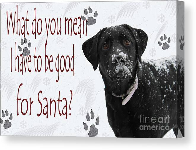 Cathy Beharriell Canvas Print featuring the photograph Good For Santa by Cathy Beharriell