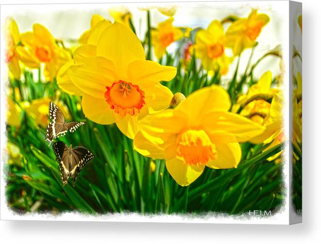  Flower Paintings Paintings Photographs Canvas Print featuring the photograph Good morning by Mayhem Mediums