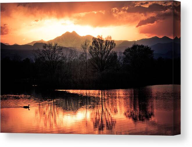 Sunsets Canvas Print featuring the photograph Goose On Golden Ponds 1 by James BO Insogna