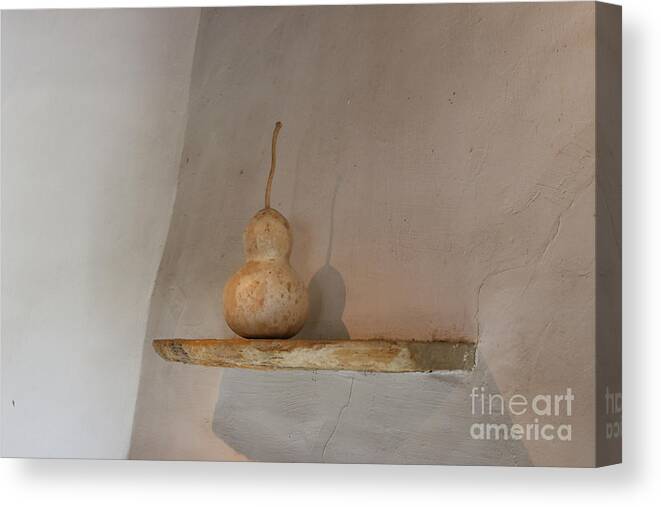 Photography Canvas Print featuring the photograph Gourd Still Life by Jeanette French