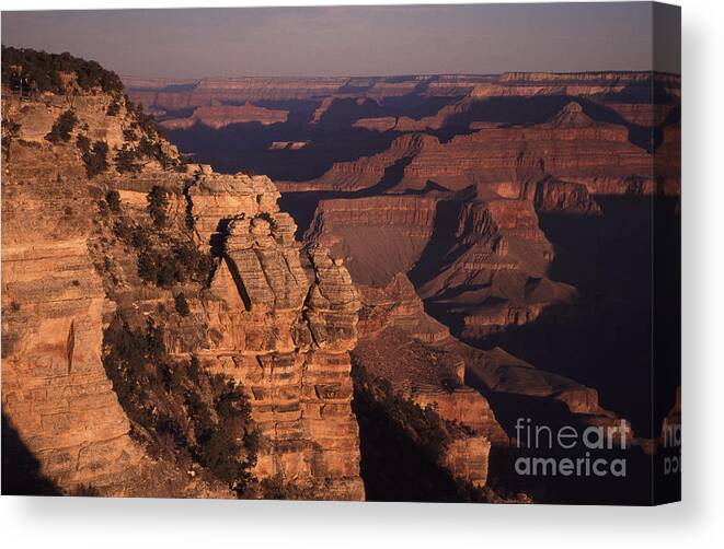 Eroded Canvas Print featuring the photograph Grand Canyon sunrise by Liz Leyden