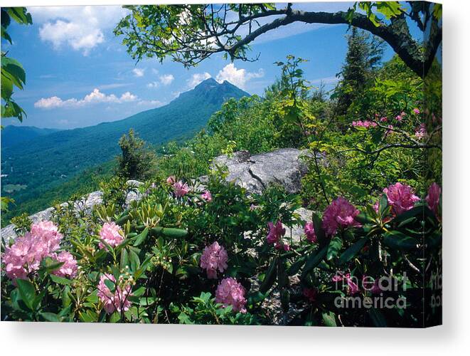 Grandfather Mountain Canvas Print featuring the photograph Grandfather Mountain by Bruce Roberts