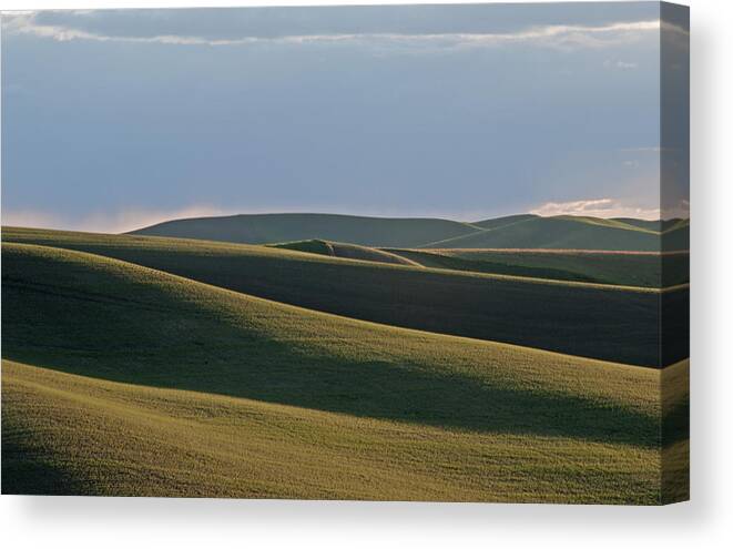Palouse Canvas Print featuring the photograph Gray to Green by Doug Davidson