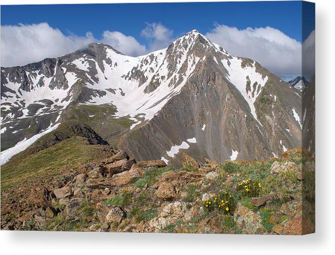 Grays Canvas Print featuring the photograph Grays and Torreys Peak by Aaron Spong