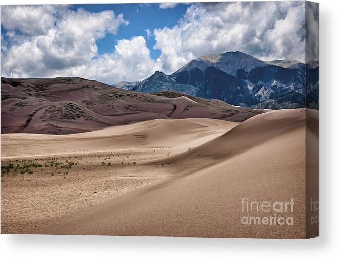 Sand Dunes Canvas Print featuring the photograph Great Sand Dunes #6 by Nikolyn McDonald