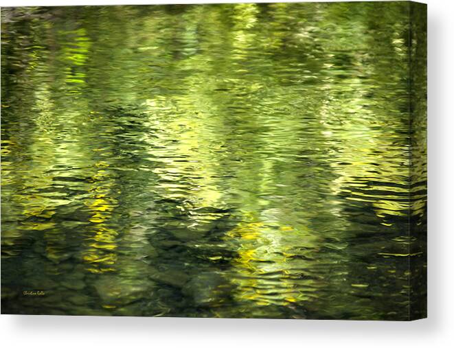 Abstract Water Canvas Print featuring the photograph Green Abstract Water Reflection by Christina Rollo