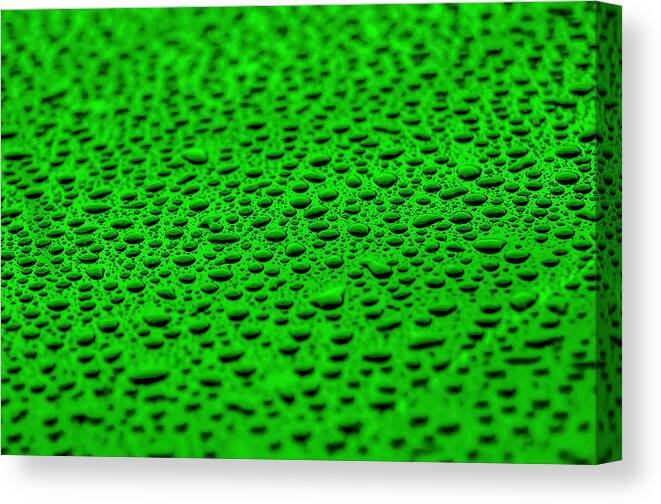 Backgrounds Canvas Print featuring the photograph Green Drops On Water-repellent Surface by Alex Grichenko