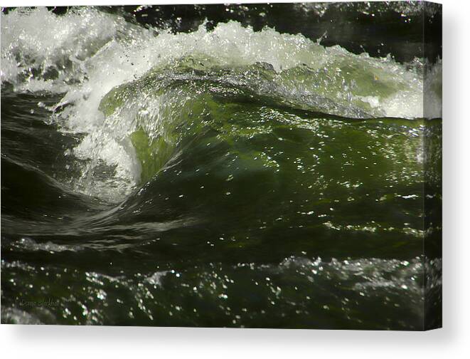 Water Canvas Print featuring the photograph Green Glass by Donna Blackhall