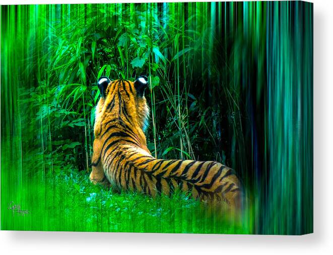  Tiger Canvas Print featuring the photograph Green Meditation by Glenn Feron