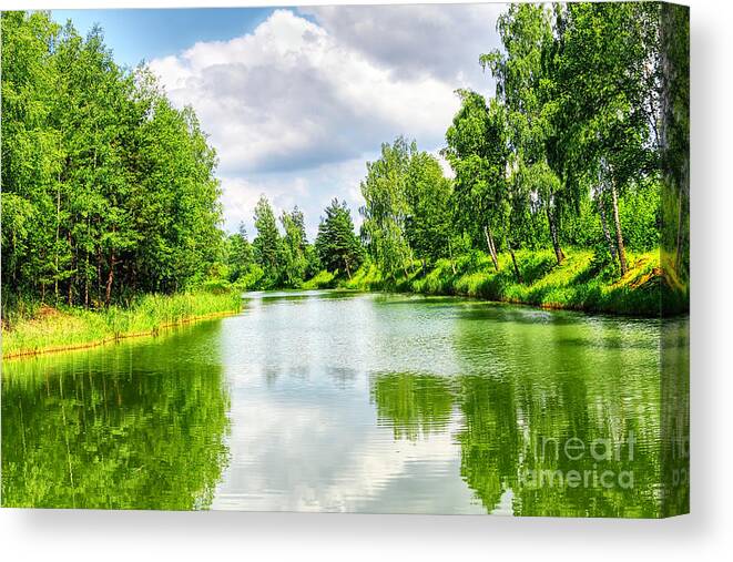 Green Nature Canvas Print featuring the photograph Green nature by Boon Mee