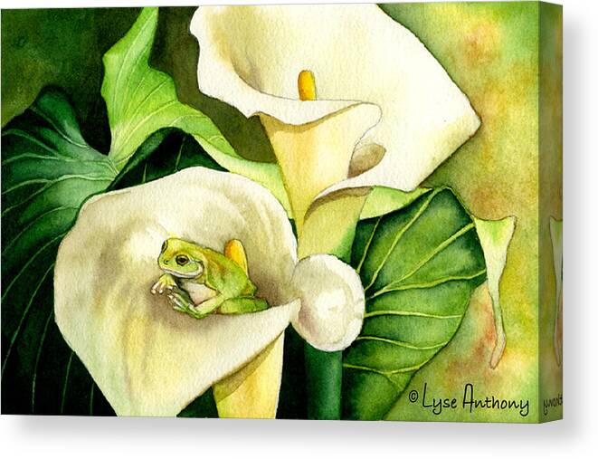 Frog Canvas Print featuring the painting Green Peace by Lyse Anthony