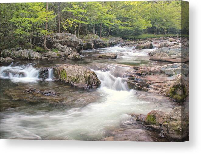 Great Smoky Mountains National Park Canvas Print featuring the photograph Greenbriar by Nancy Dunivin