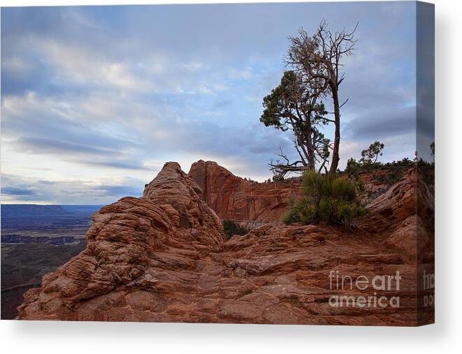 Canyon Lands Canvas Print featuring the photograph Greet the Dawn by Jim Garrison