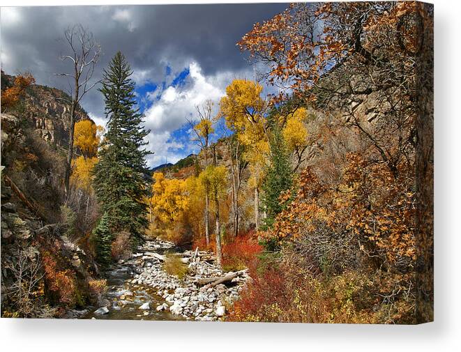 Glenwood Canyon Canvas Print featuring the photograph Grizzly Creek Cottonwoods by Jeremy Rhoades