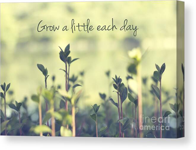 Grow A Little Each Day Canvas Print featuring the photograph Grow A Little Each Day Inspirational Green Shoots and Leaves by Beverly Claire Kaiya