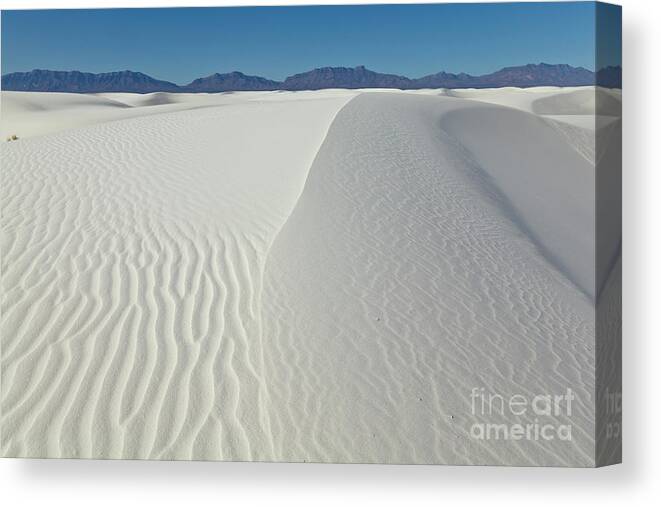 00559177 Canvas Print featuring the photograph White Sands Gypsum Dunes by Yva Momatiuk John Eastcott