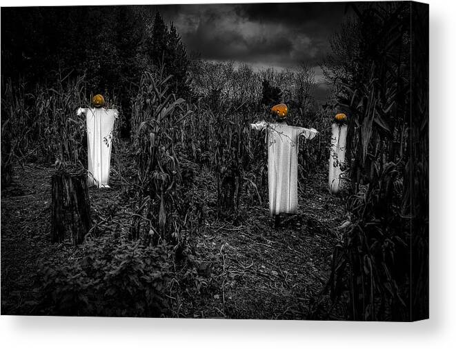 Halloween Canvas Print featuring the photograph Halloween is coming by Nigel R Bell