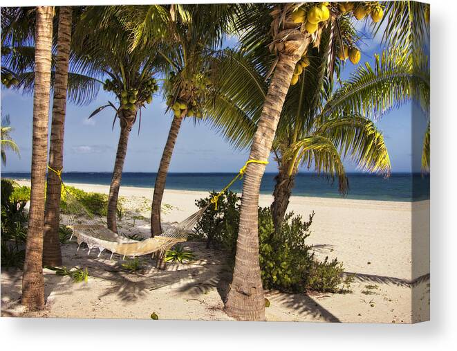 Excellence Playa Mujeres Canvas Print featuring the photograph Hammock and palm trees by Yelena Rozov
