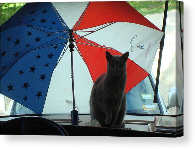 Cat Canvas Print featuring the photograph Happy 4th of July by Susan Woodward