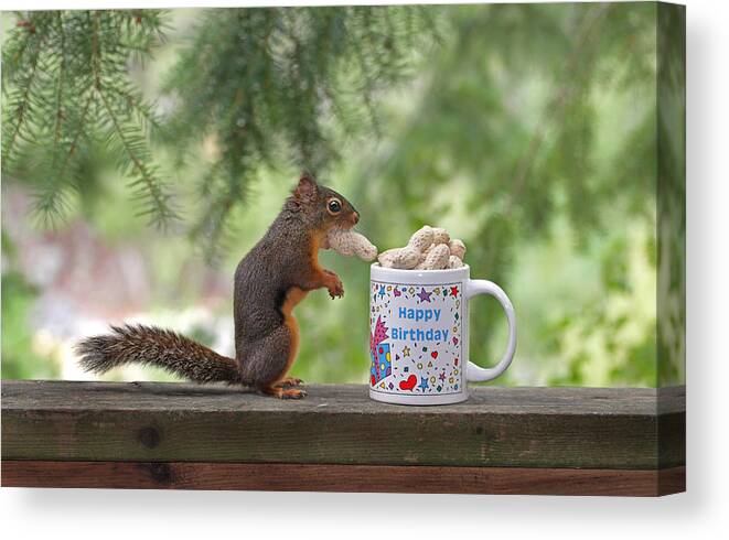 Birthday Canvas Print featuring the photograph Happy Birthday Squirrel by Peggy Collins