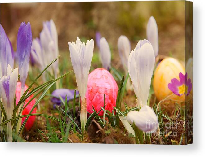 Easter Canvas Print featuring the photograph Happy Easter 2 by Christine Sponchia