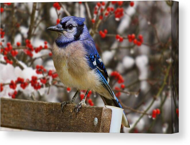 Happy Canvas Print featuring the photograph Happy Holidays by Gary Holmes