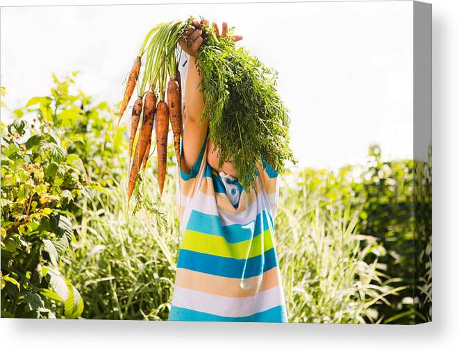 Child Canvas Print featuring the photograph Happy smiling kid boy holding organic carrots outdoors of farm. Boy having fun with gardening and helping by Ulza