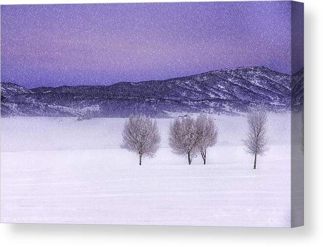 Snow Canvas Print featuring the photograph Harmonious Vibrations by Kristal Kraft