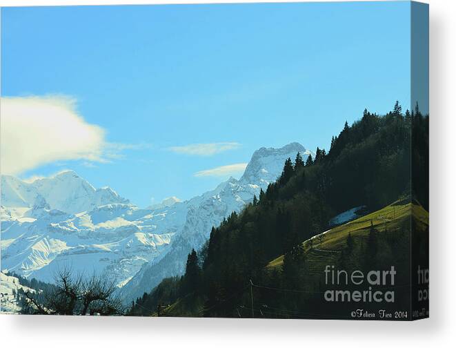 Alps Canvas Print featuring the photograph Harmony in variety by Felicia Tica