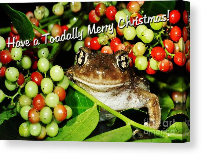 Toad Canvas Print featuring the photograph Have a Toadally Merry Christmas by Lynda Dawson-Youngclaus