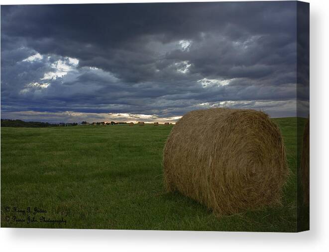 Hay Bail Canvas Print featuring the photograph Hay Bail by Hany J