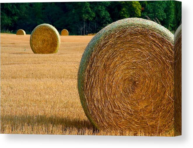 Hay Canvas Print featuring the photograph Hay Bales by Chuck De La Rosa