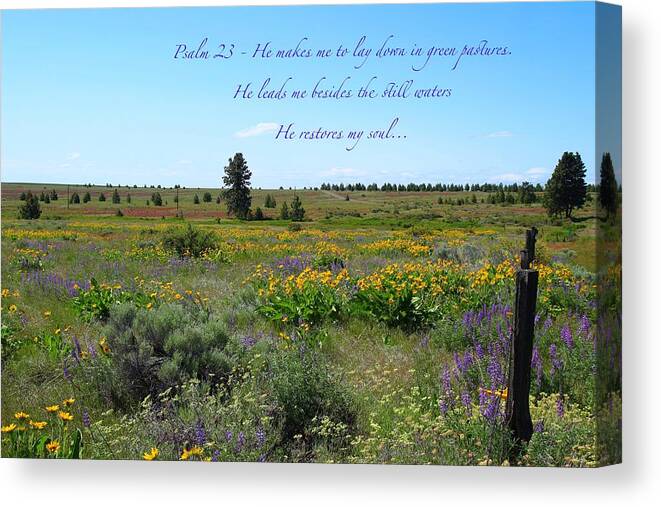 Wildflowers Canvas Print featuring the photograph He restores my soul by Lynn Hopwood
