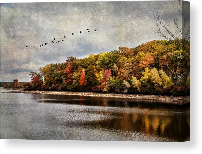 Autumn.migration Canvas Print featuring the photograph Headed South by Cathy Kovarik