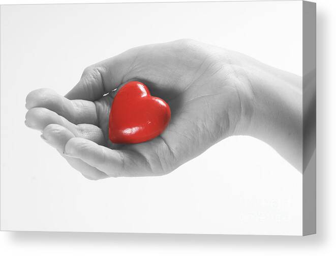 Giving Canvas Print featuring the photograph Heart in hand by Michal Bednarek
